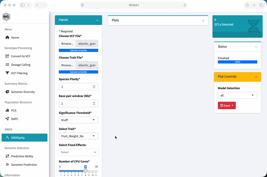 Animated GIF showing the GWAS workflow in BIGapp
